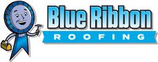 Blue Ribbon Roofing Raleigh
